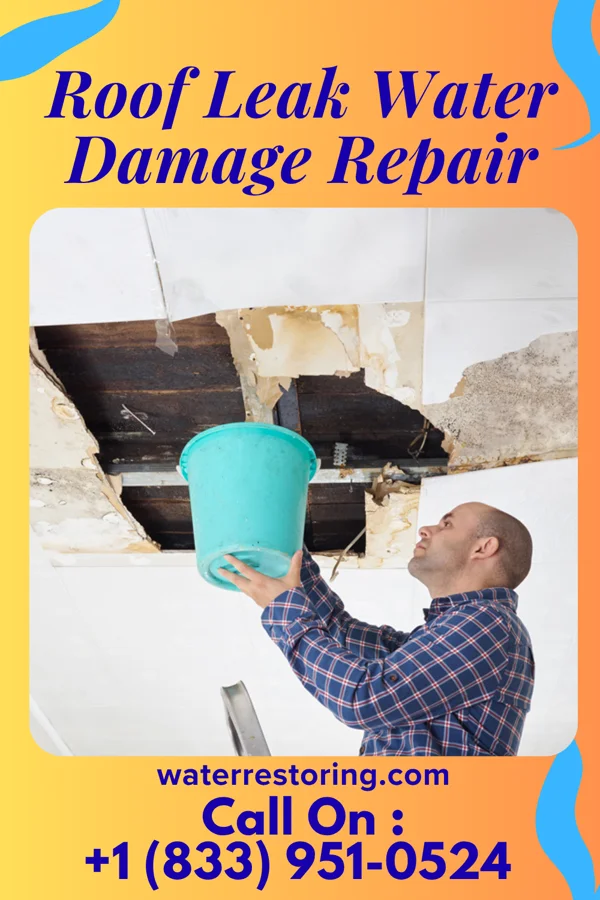Roof Leak Water Damage Repair in Church Hill, MD