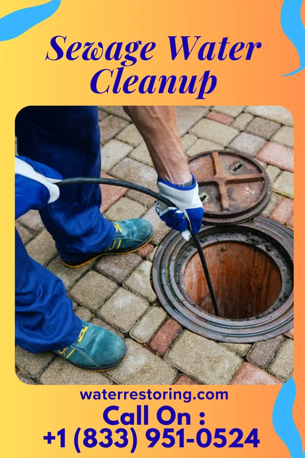 Sewage Water Cleanup in Church Hill, MD